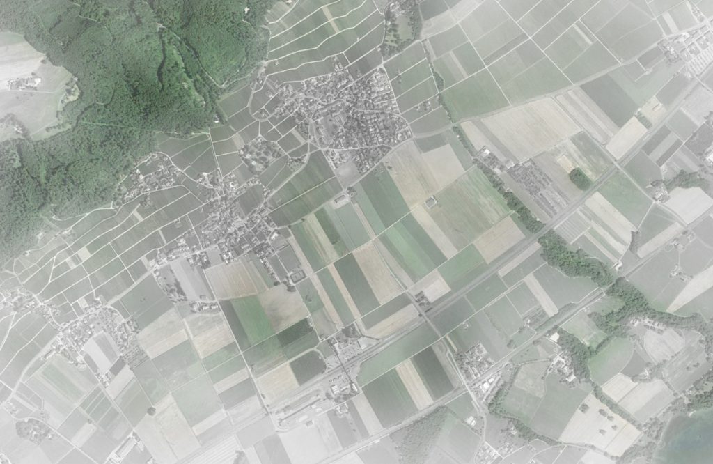 01_Orthophoto 4